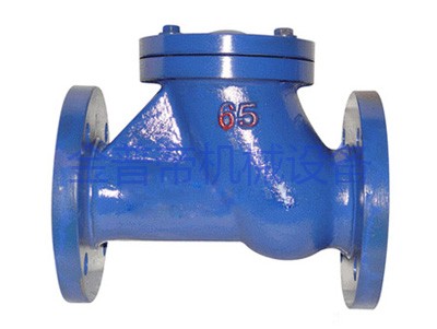 HQ41X滑道滚球式止回阀